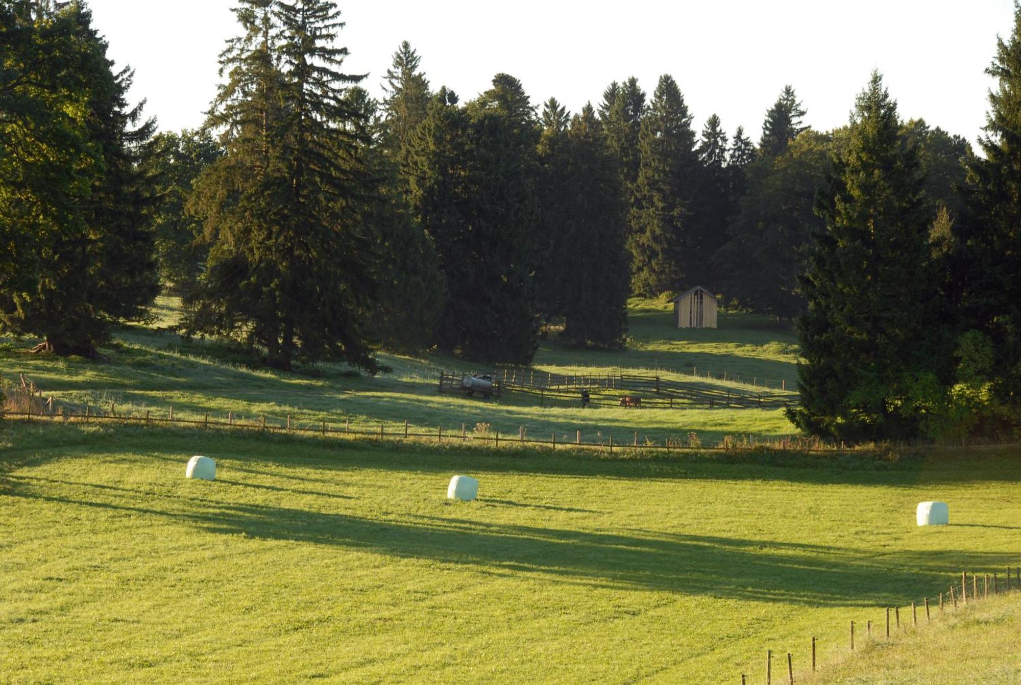 ホテル Zweilindenhof ゼースハウプト エクステリア 写真