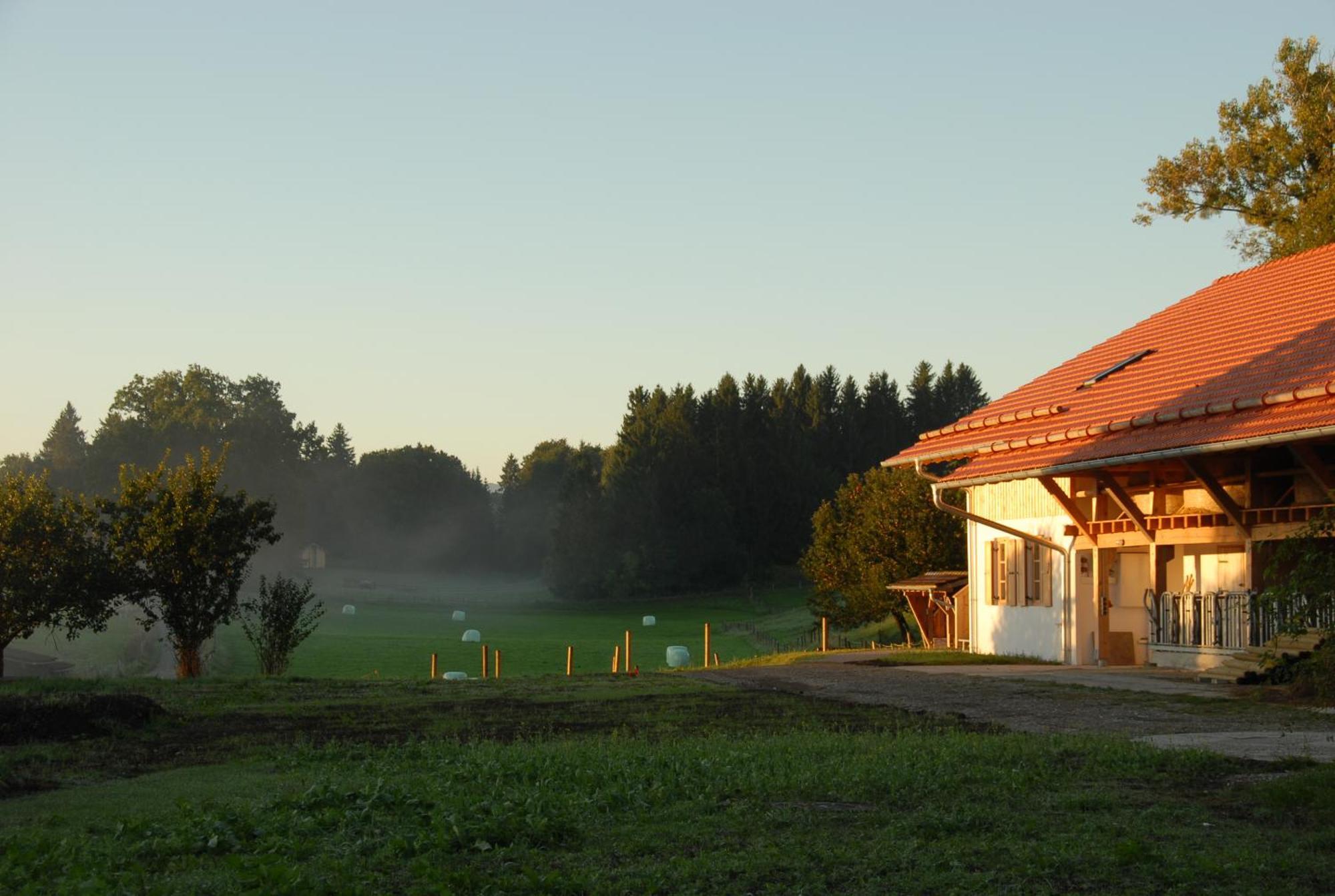 ホテル Zweilindenhof ゼースハウプト エクステリア 写真