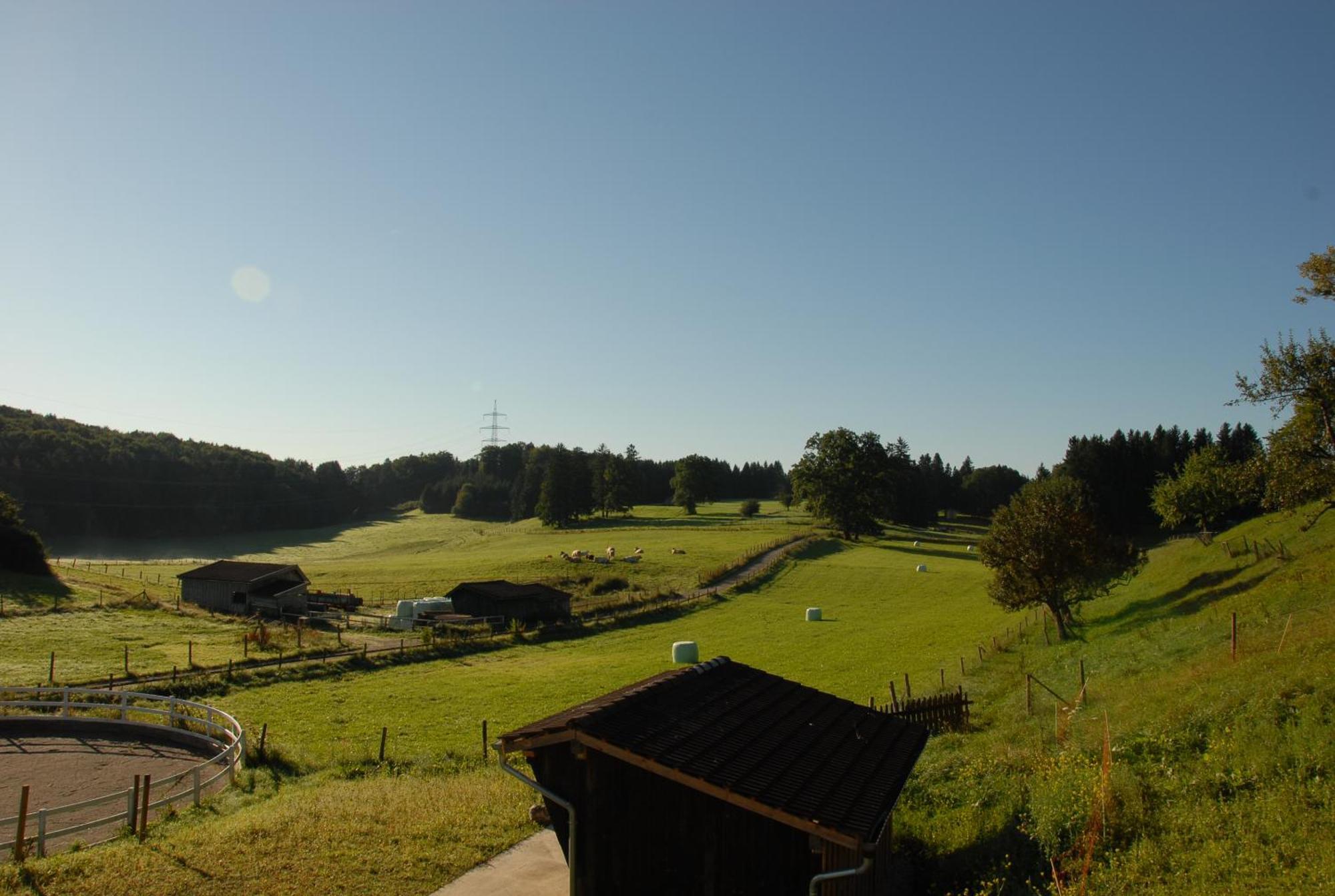 ホテル Zweilindenhof ゼースハウプト エクステリア 写真